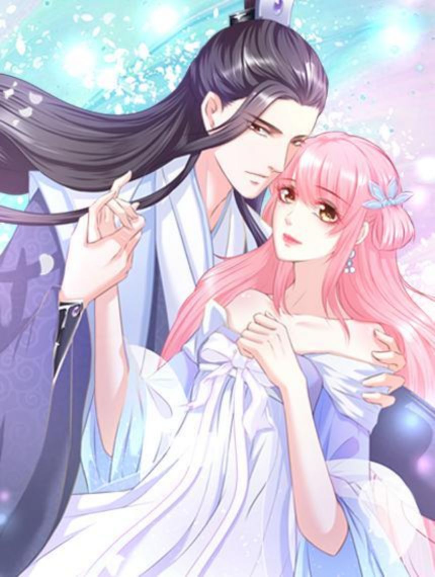 報告王爺，王妃是只貓