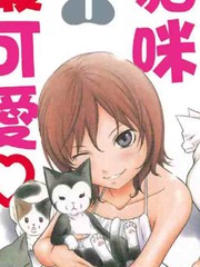 我家的貓咪最可愛