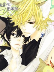 狼先生的發情期