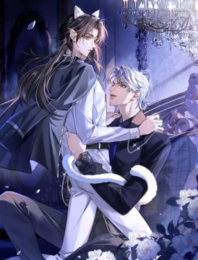 高冷指揮官一親就哭