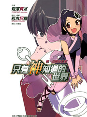 只有神知道的世界-輕小說
