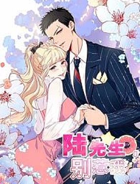 陸先生別惹我