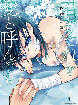 就算你把那叫做愛情