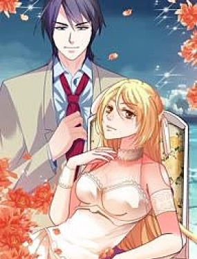 神秘大亨vs偷心寶貝