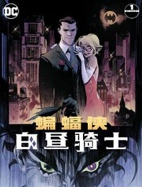 蝙蝠俠：白晝騎士
