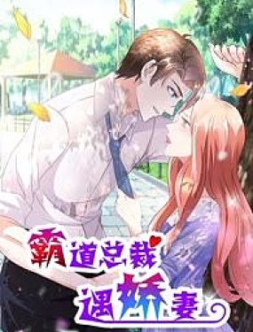 霸道總裁遇嬌妻