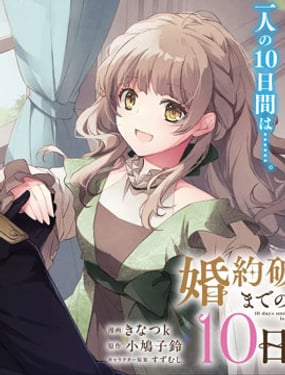 婚約作廢前的十天