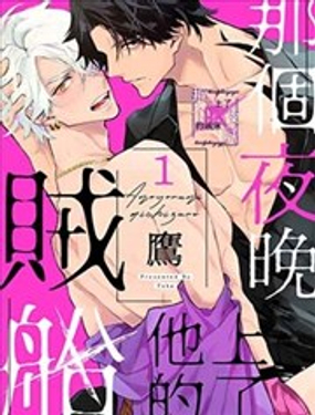 那個夜晚上了他的賊船