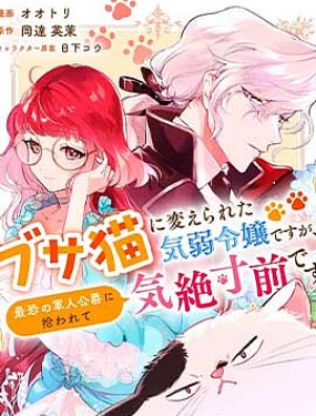 軟弱千金變笨貓