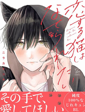 戀愛中的貓咪想被撫摸