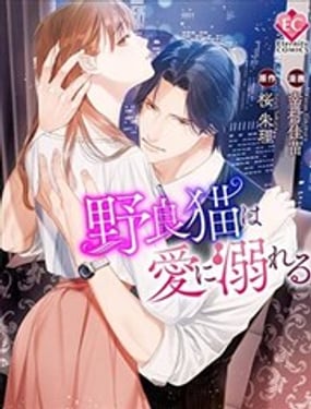 流浪貓沉溺於愛