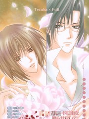 別讓帕累託下雨