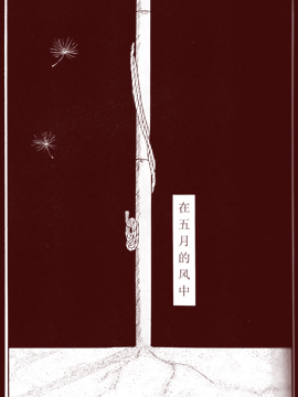 在五月的風中