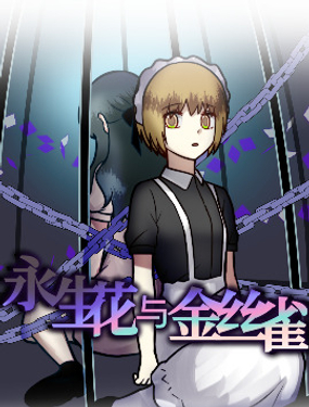 永生花與金絲雀