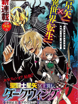 聖鬥士星矢冥王異傳漆黑之翼