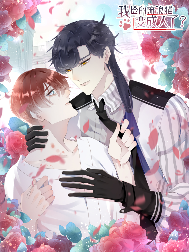 我撿的流浪貓變成人了？