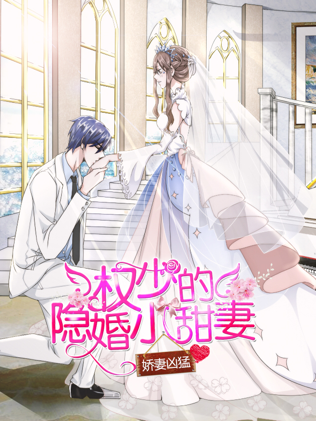 權少的隱婚小甜妻