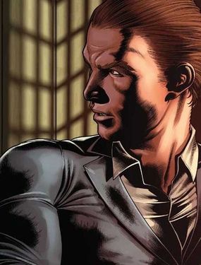 瑞文克勞夫特：犯罪精神病院