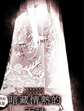 暗藏情熱的面紗