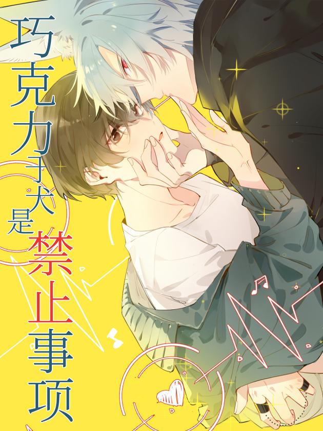 巧克力於犬是禁止事項