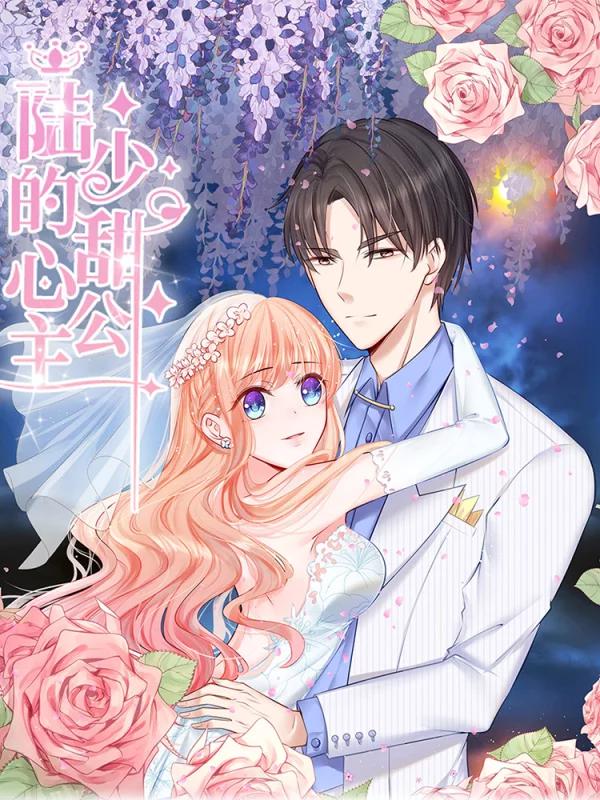 陸少的甜心公主