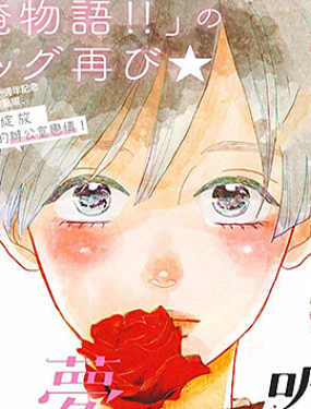 或谎或真或梦或爱