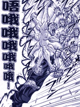 烈海王似乎打算在幻想鄉挑戰強者們的樣子