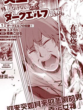 家被燒掉的我買了個奴隸