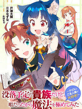作為勢必沒落的貴族，因為生活過於清閒而開始向魔法頂峰鑽研~克莉斯最喜歡主人了~
