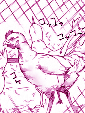 與你共度世界的終焉