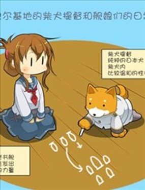 拉包爾基地的柴犬提督和艦娘們的日常