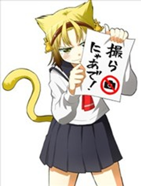 八十龜醬觀察日記