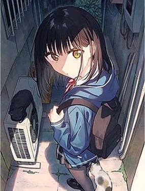 與貓相鄰尚不識戀