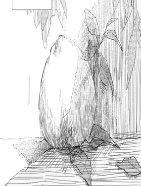 喜歡的女孩，就像水蜜桃