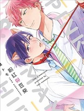 粉紅與豆柴系列