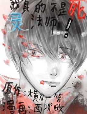 我真的不是死靈法師！