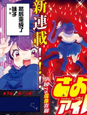 再見了我的偶像