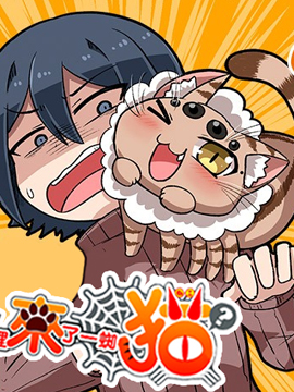 陽臺裡來了一蜘貓