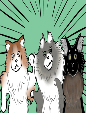 我還有機會嗎？