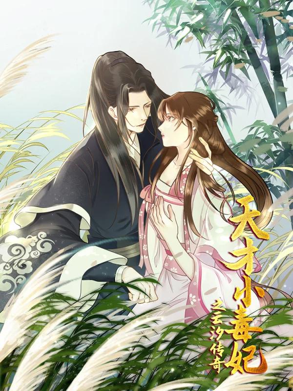 天才小毒妃之芸汐傳奇