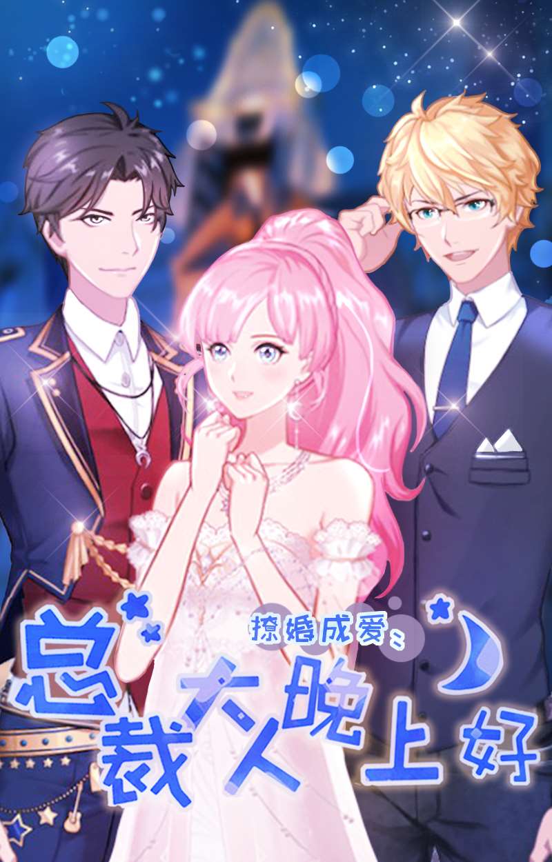 撩婚成愛：總裁大人晚上好