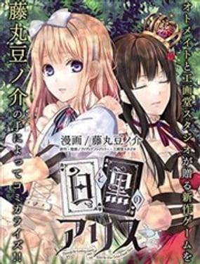 白與黑的愛麗絲