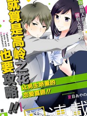 就算是高嶺之花也要攻略！