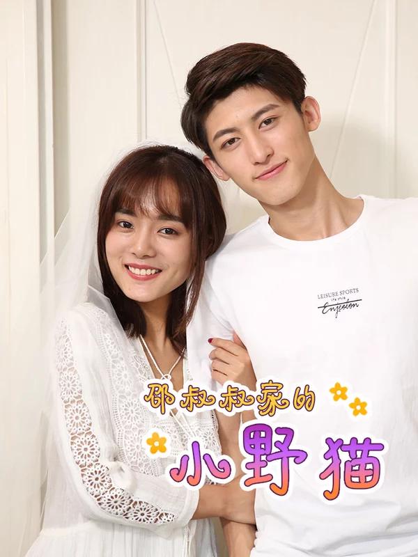 邵叔叔家的小野貓