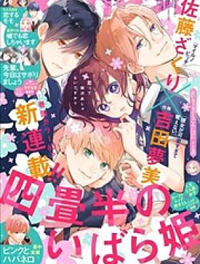 四疊半的睡美人