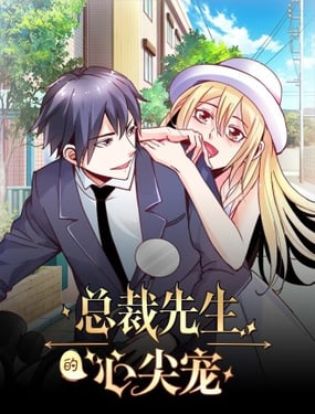 總裁先生的心尖寵