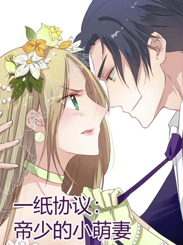 一紙協議：帝少的小萌妻