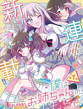 我是姐姐的玩具