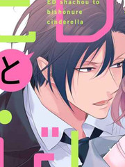 ED社長和溼漉漉的灰姑娘