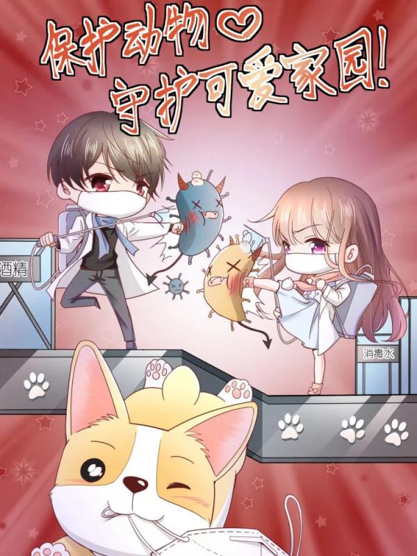 保護動物,守護可愛家園!